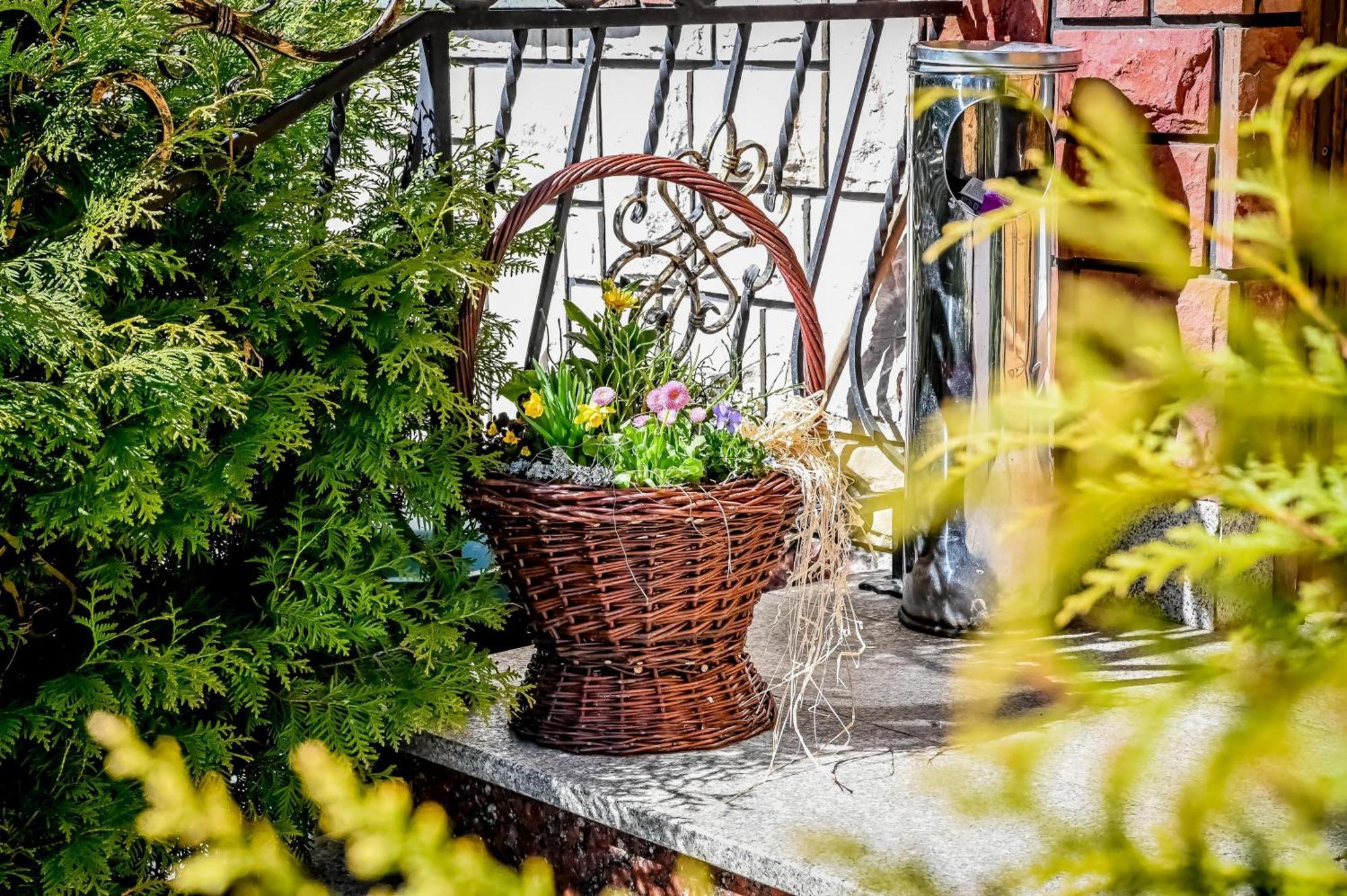 Domek u Horarów Ciche  Exterior foto